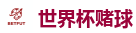 2026美加墨世界杯官网投注平台